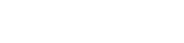 DastyFlySim